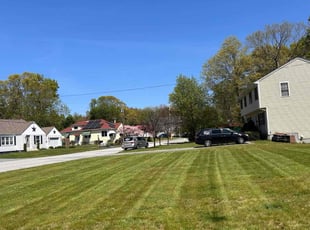 Marianne &.'s Yard Cutting service result