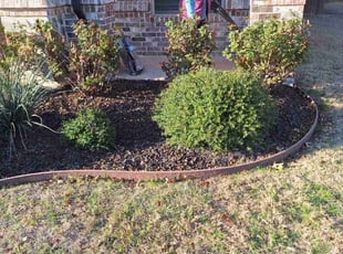 Bush Trimming by Jason George for Martin J. in Keller, TX