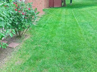 Stan R.'s Lawn Maintenance service result