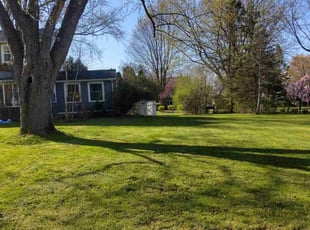 Leroy K.'s Lawn Mowing service result