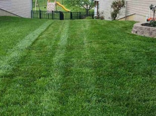 Leslie D.'s Lawn Mowing service result