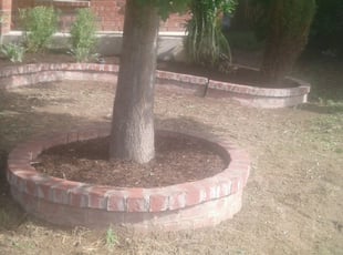 Landscaping by Rick Lopez for Joshua J. in San Antonio, TX