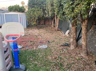Bush Trimming by Earl Miller for Joshua H. in San Diego, CA
