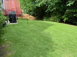Victoria P.'s Lawn Mowing service result