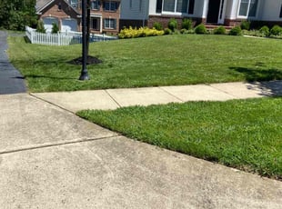 Weeding by Enrique Novillo for Michael B. in Leesburg, VA