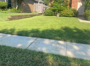 Allan D.'s Lawn Maintenance service result
