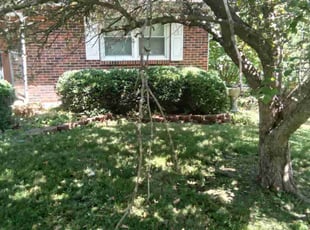 Bush Trimming by Julio Almestica for Alex S. in Independence, MO