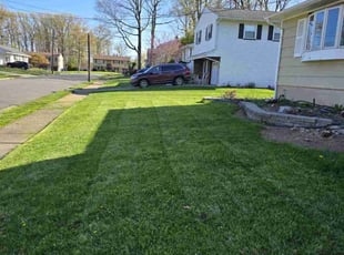 Dacia C.'s Lawn Mowing Service service result