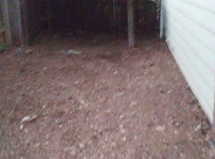 Leaf Removal by Edward Rodriguez for Scott H. in Bedford, TX
