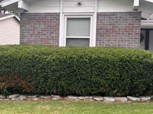 Bush Trimming by Marquis Coleman for Dan G. in Florissant, MO