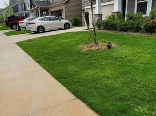 Karen R.'s Lawn Mowing Service service result
