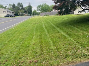 Michael L.'s Lawn Care service result