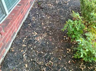 Weeding by Jayden Barideaux for Kenneth L. in Richardson, TX