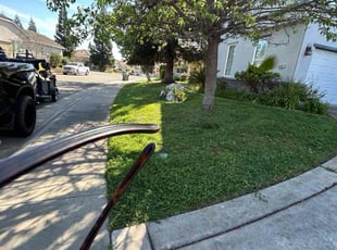 Michael P.'s Yard Cutting service result