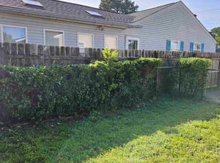Bush Trimming by Isaiah Hunter for Kieara W. in Virginia Beach, VA