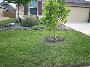 Keith H.'s Lawn Maintenance service result