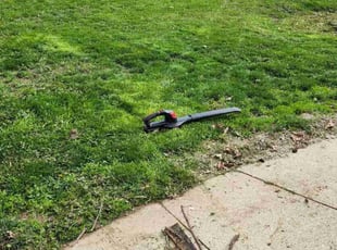 Cleanups by Kevin Philips for Louis H. in Cheviot, OH