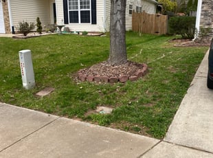 Leaf Removal by Kevin Dimas for Swapnil G. in Durham, NC