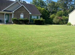 Sonja M.'s Lawn Mowing service result