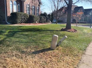 Leaf Removal by Tim Hargett for Sandy M. in Charlotte, NC