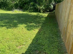 Shanda C.'s Lawn Care service result