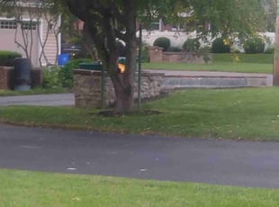 Cleanups by Jose Munoz for Melissa I. in Hershey, PA