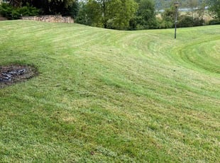 reuben l.'s Lawn Mowing Service service result