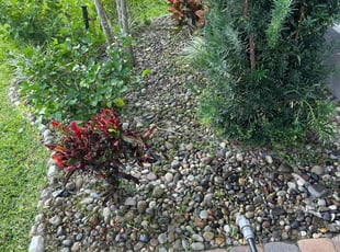 Weeding by Quinton Davis for Michael W. in Davenport, FL