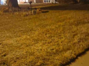 Leaf Removal by Kevin Mcguinness for Carol M. in Apple Valley, MN