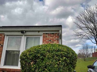 Bush Trimming by Rómulo González for Jamie M. in Upper Marlboro, MD