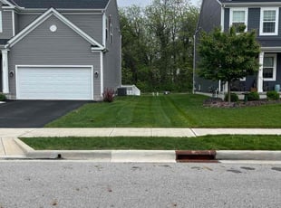 Tonya B.'s Lawn Mowing service result