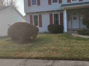 Bush Trimming by Nathan Garrett for Ellen L. in Florissant, MO