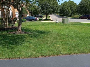 Aaron R.'s Lawn Mowing service result