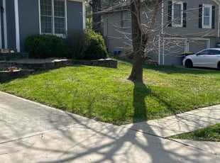 Doug K.'s Lawn Mowing service result