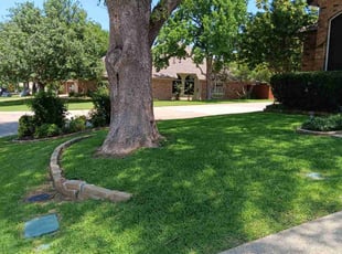 Cheryl H.'s Grass Cutting service result