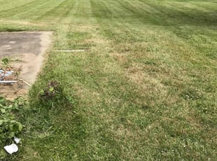 Cleanups by Eric Ortiz for Joaquin C. in Youngstown, OH
