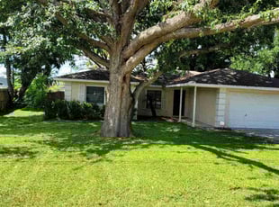 Mary V.'s Yard Cutting service result