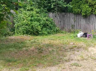 Bush Trimming by Brandon Hill for Corise L. in Portland, OR