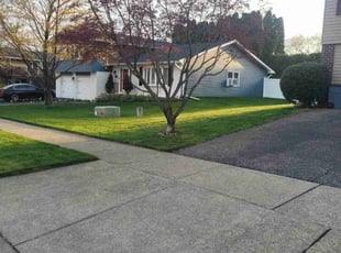 Paola M.'s Yard Cutting service result