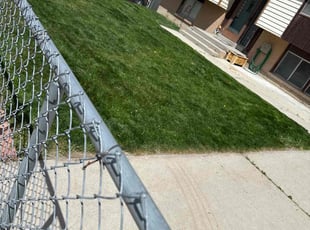 Janis L.'s Lawn Mowing service result