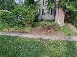 Bush Trimming by Casey Weaver for Josh F. in Des Moines, IA