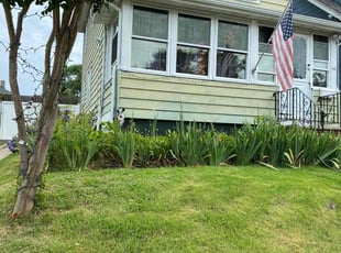 Marie F.'s Yard Cutting service result
