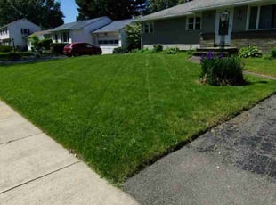 Nancy F.'s Lawn Service service result