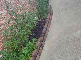 Cleanups by Edwin Fernandez for Diane V. in Katy, TX
