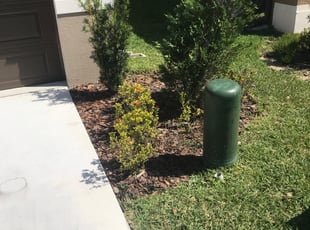 Bush Trimming by Jose Disla; for Stephanie Z. in Haines City, FL