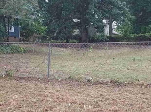 Leaf Removal by William mckethan for Dee T. in Raeford, NC