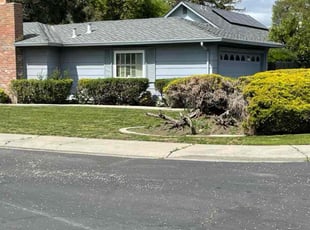 Charles W.'s Lawn Mowing service result