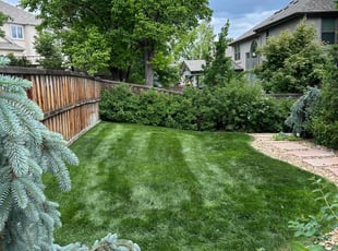 La B.'s Grass Cutting service result
