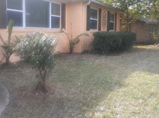 Bush Trimming by Aderias Rollins for patricia c. in Jacksonville, FL