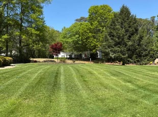 Fred E.'s Lawn Mowing service result